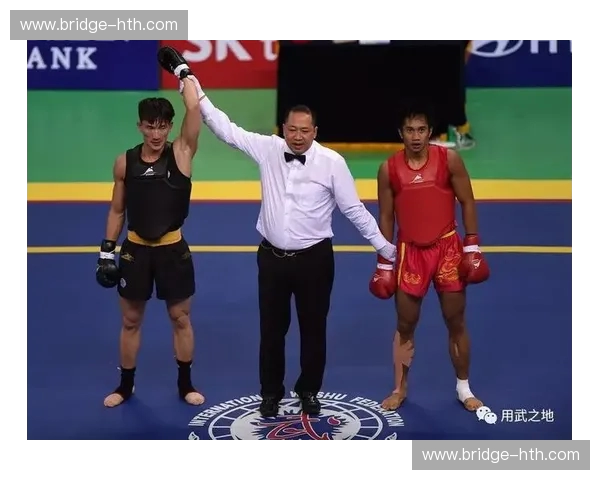 双雄并立,谁为至尊?孔洪星与徐吉福的散打“巅峰演义” 双雄并立,谁为至尊?孔洪星与徐吉福的散打“巅峰演义”